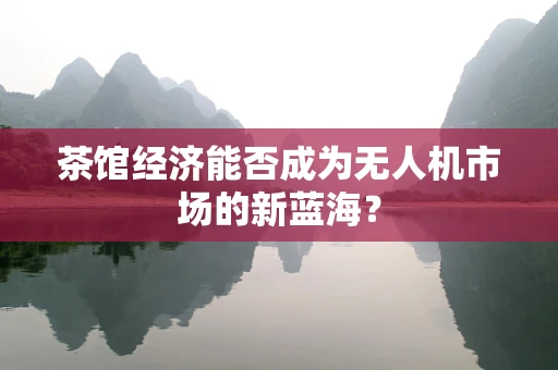 茶馆经济能否成为无人机市场的新蓝海？