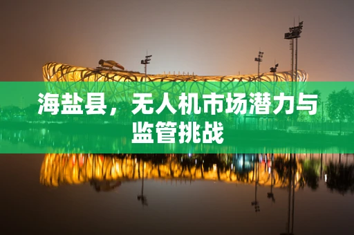 海盐县，无人机市场潜力与监管挑战