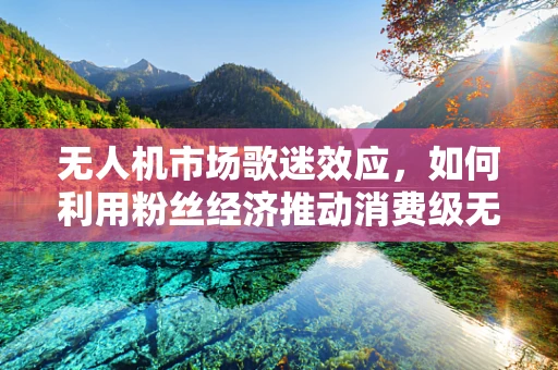 无人机市场歌迷效应，如何利用粉丝经济推动消费级无人机普及？