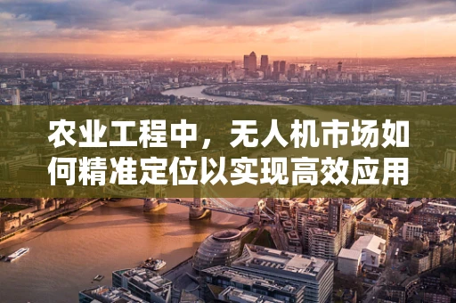 农业工程中，无人机市场如何精准定位以实现高效应用？