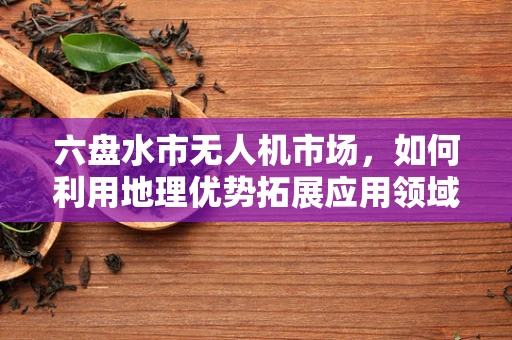 六盘水市无人机市场，如何利用地理优势拓展应用领域？