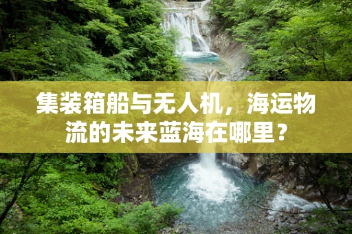 集装箱船与无人机，海运物流的未来蓝海在哪里？