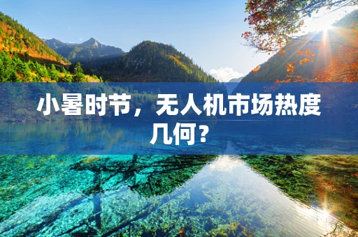 小暑时节，无人机市场热度几何？