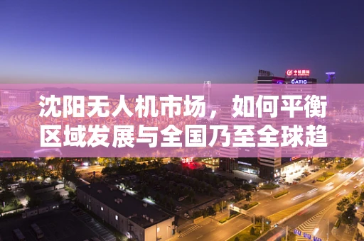 沈阳无人机市场，如何平衡区域发展与全国乃至全球趋势的对接？