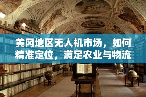 黄冈地区无人机市场，如何精准定位，满足农业与物流的双重需求？