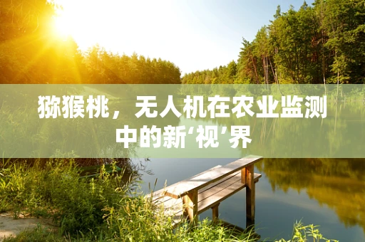 猕猴桃，无人机在农业监测中的新‘视’界