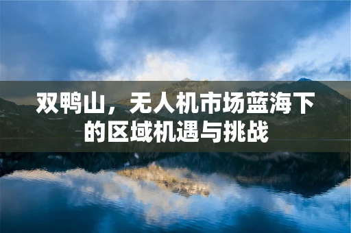 双鸭山，无人机市场蓝海下的区域机遇与挑战