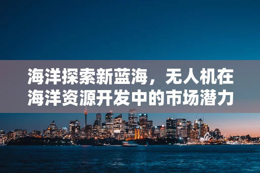 海洋探索新蓝海，无人机在海洋资源开发中的市场潜力与挑战
