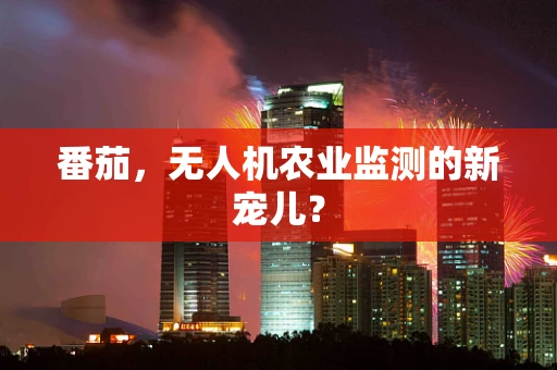 番茄，无人机农业监测的新宠儿？