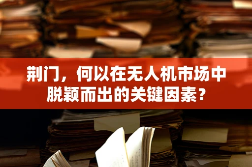 荆门，何以在无人机市场中脱颖而出的关键因素？