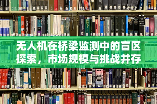 无人机在桥梁监测中的盲区探索，市场规模与挑战并存