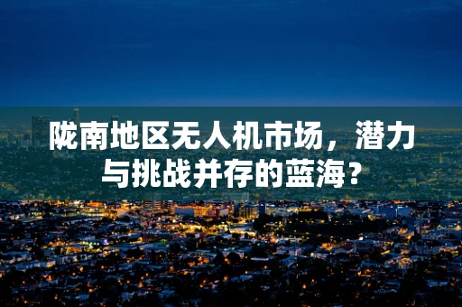 陇南地区无人机市场，潜力与挑战并存的蓝海？