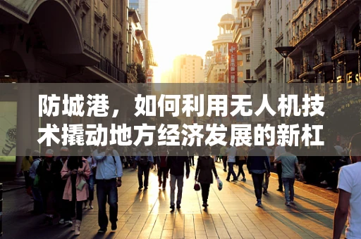 防城港，如何利用无人机技术撬动地方经济发展的新杠杆？