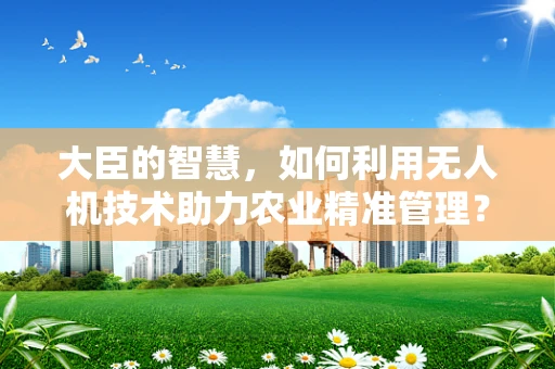 大臣的智慧，如何利用无人机技术助力农业精准管理？