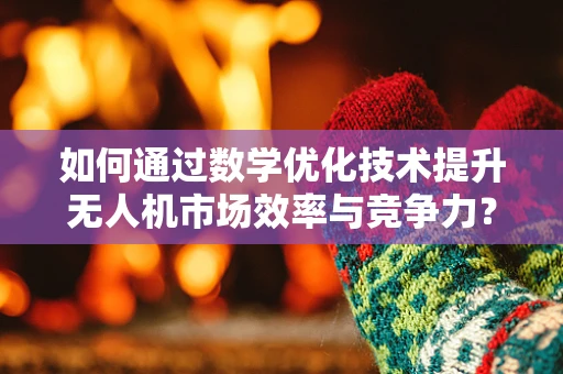 如何通过数学优化技术提升无人机市场效率与竞争力？
