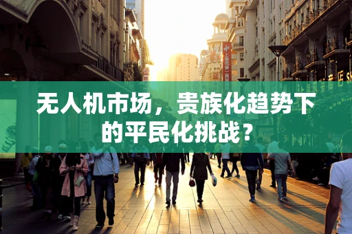 无人机市场，贵族化趋势下的平民化挑战？