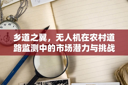 乡道之翼，无人机在农村道路监测中的市场潜力与挑战