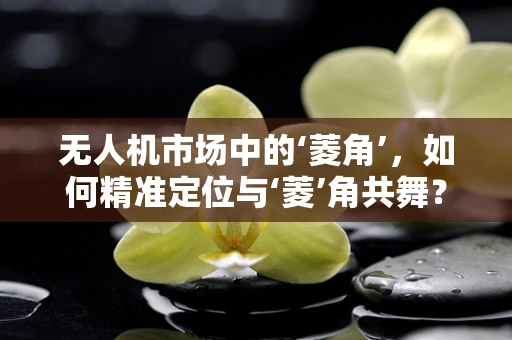 无人机市场中的‘菱角’，如何精准定位与‘菱’角共舞？