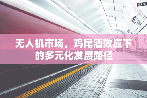 无人机市场，鸡尾酒效应下的多元化发展路径