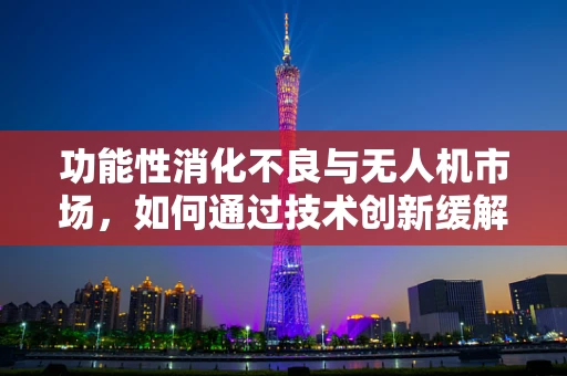 功能性消化不良与无人机市场，如何通过技术创新缓解‘空中胃痛’？