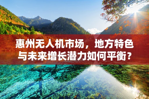 惠州无人机市场，地方特色与未来增长潜力如何平衡？