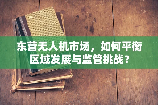 东营无人机市场，如何平衡区域发展与监管挑战？