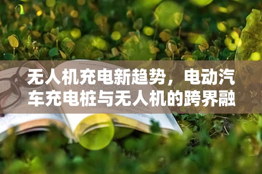 无人机充电新趋势，电动汽车充电桩与无人机的跨界融合能否引领行业变革？
