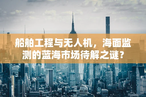 船舶工程与无人机，海面监测的蓝海市场待解之谜？