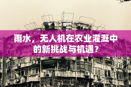 雨水，无人机在农业灌溉中的新挑战与机遇？