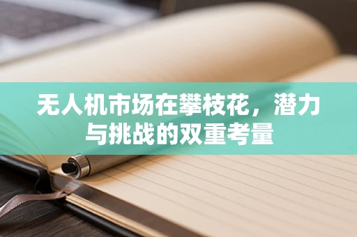 无人机市场在攀枝花，潜力与挑战的双重考量