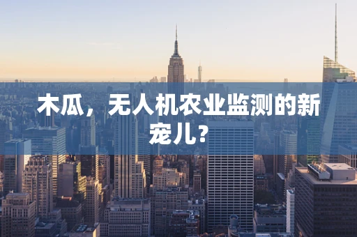 木瓜，无人机农业监测的新宠儿？