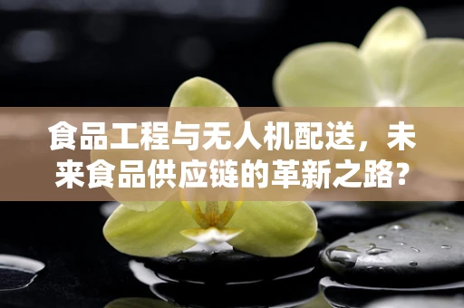 食品工程与无人机配送，未来食品供应链的革新之路？