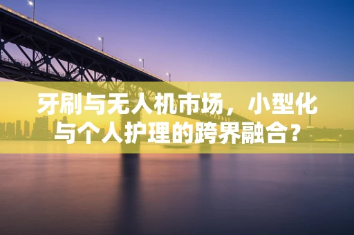 牙刷与无人机市场，小型化与个人护理的跨界融合？