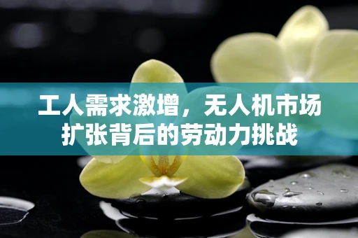 工人需求激增，无人机市场扩张背后的劳动力挑战
