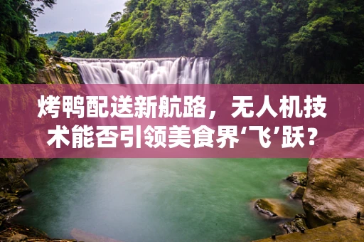 烤鸭配送新航路，无人机技术能否引领美食界‘飞’跃？