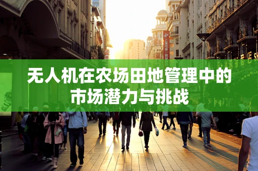 无人机在农场田地管理中的市场潜力与挑战
