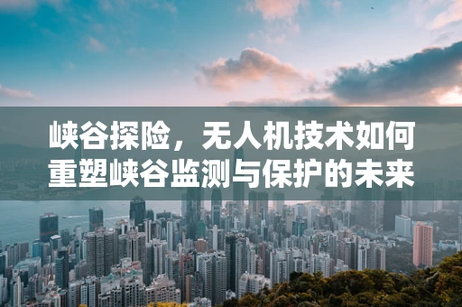 峡谷探险，无人机技术如何重塑峡谷监测与保护的未来？