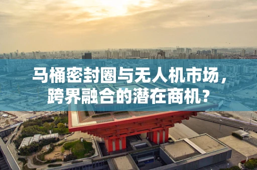 马桶密封圈与无人机市场，跨界融合的潜在商机？