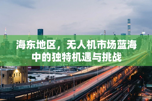 海东地区，无人机市场蓝海中的独特机遇与挑战