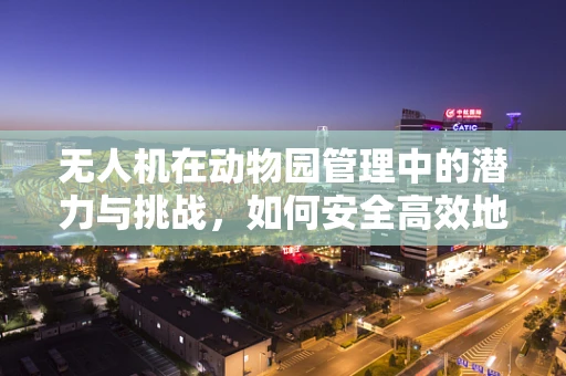 无人机在动物园管理中的潜力与挑战，如何安全高效地应用？