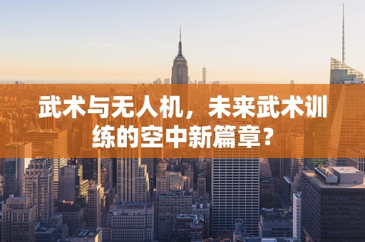 武术与无人机，未来武术训练的空中新篇章？