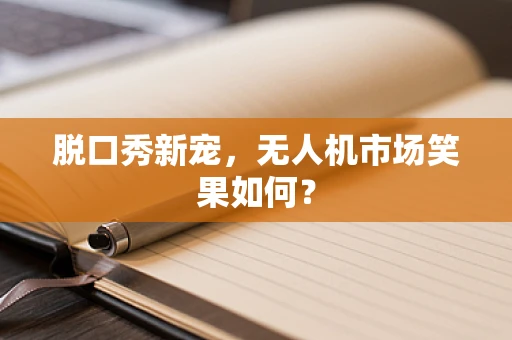 脱口秀新宠，无人机市场笑果如何？