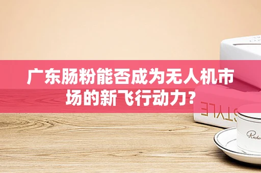 广东肠粉能否成为无人机市场的新飞行动力？