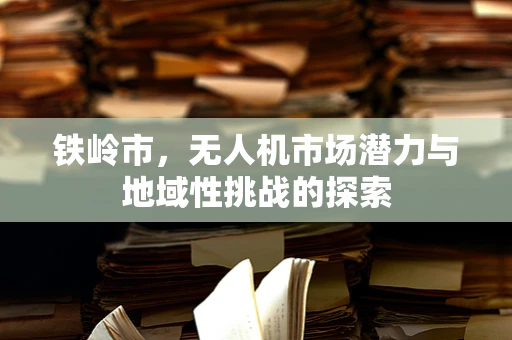 铁岭市，无人机市场潜力与地域性挑战的探索