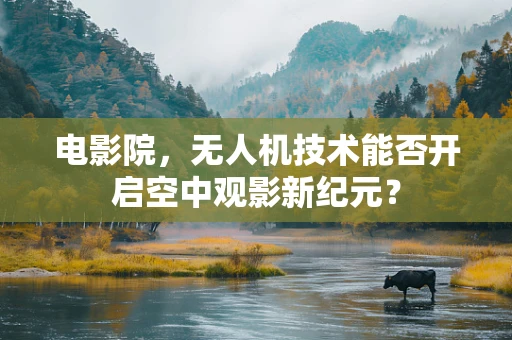 电影院，无人机技术能否开启空中观影新纪元？