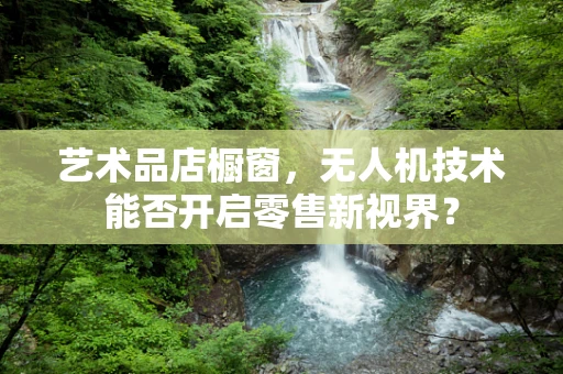 艺术品店橱窗，无人机技术能否开启零售新视界？