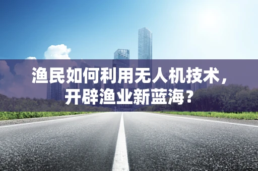 渔民如何利用无人机技术，开辟渔业新蓝海？