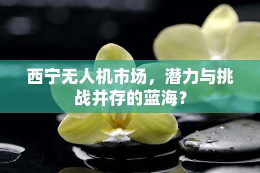 西宁无人机市场，潜力与挑战并存的蓝海？