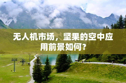 无人机市场，坚果的空中应用前景如何？