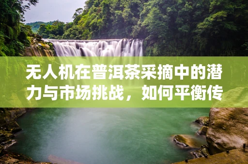 无人机在普洱茶采摘中的潜力与市场挑战，如何平衡传统与现代？